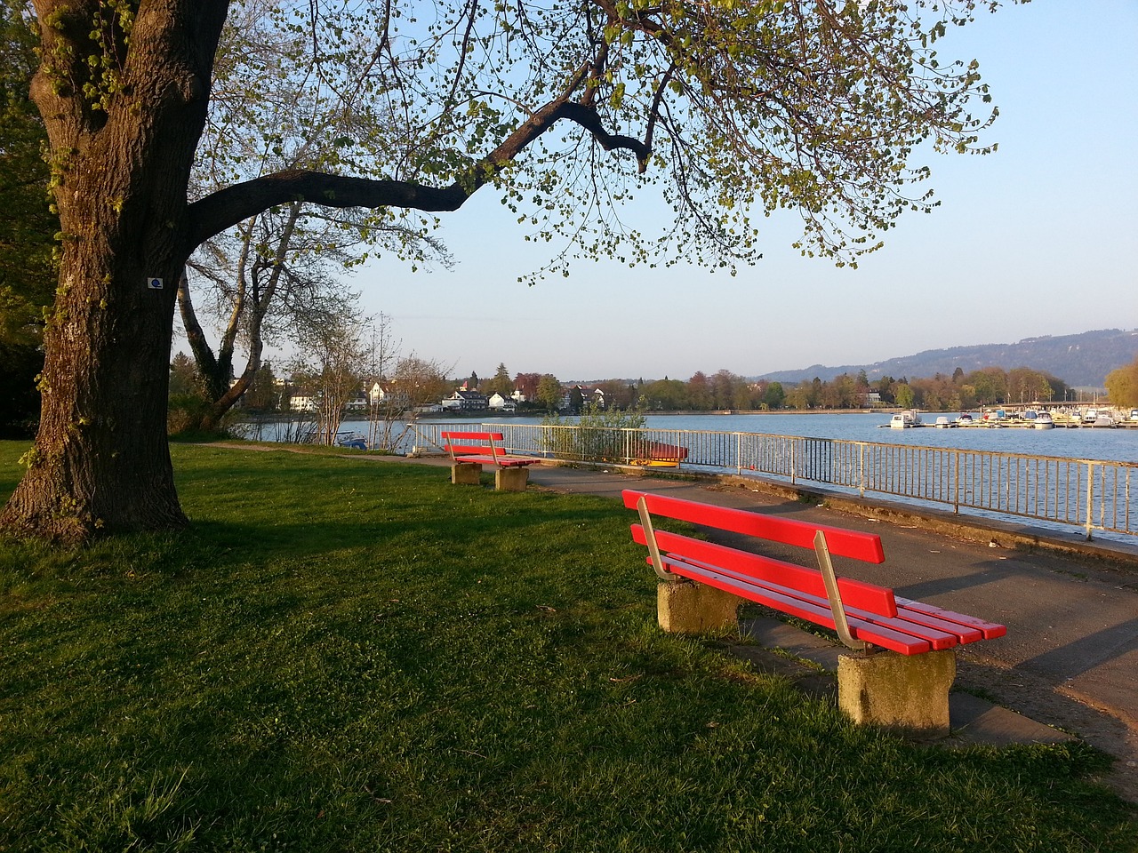 是一个轻易 是一个轻易