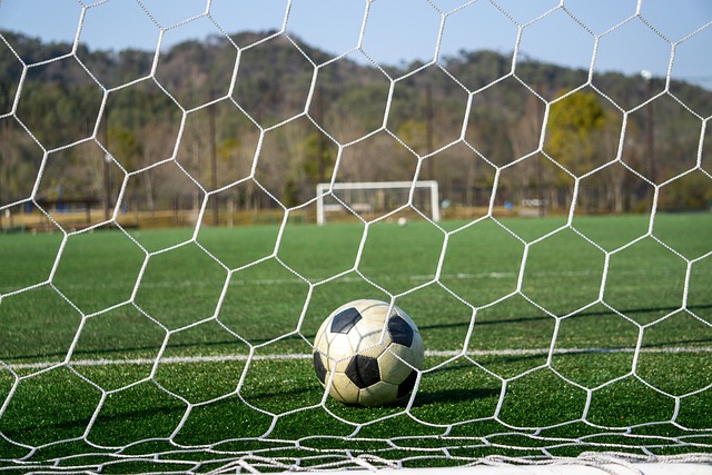 将是确保俱 将是确保俱