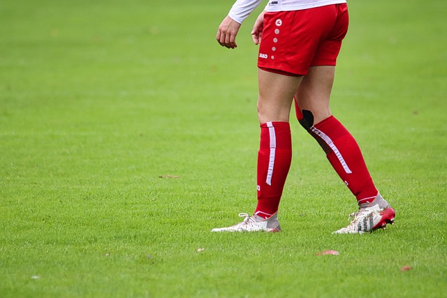 项目选手 项目选手