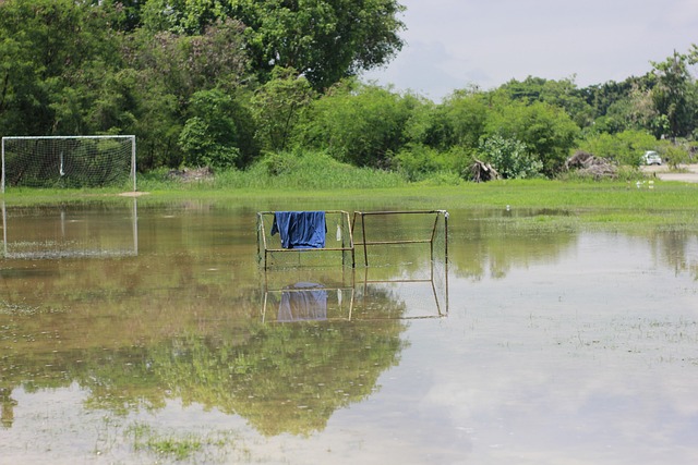 一位球员个 一位球员个